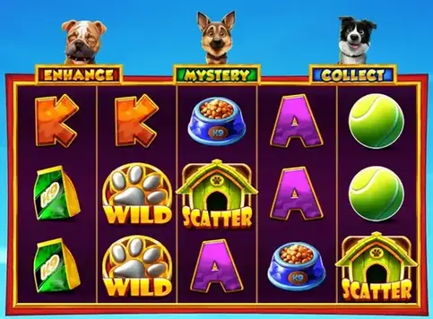 3 Top Dogs casino strategy