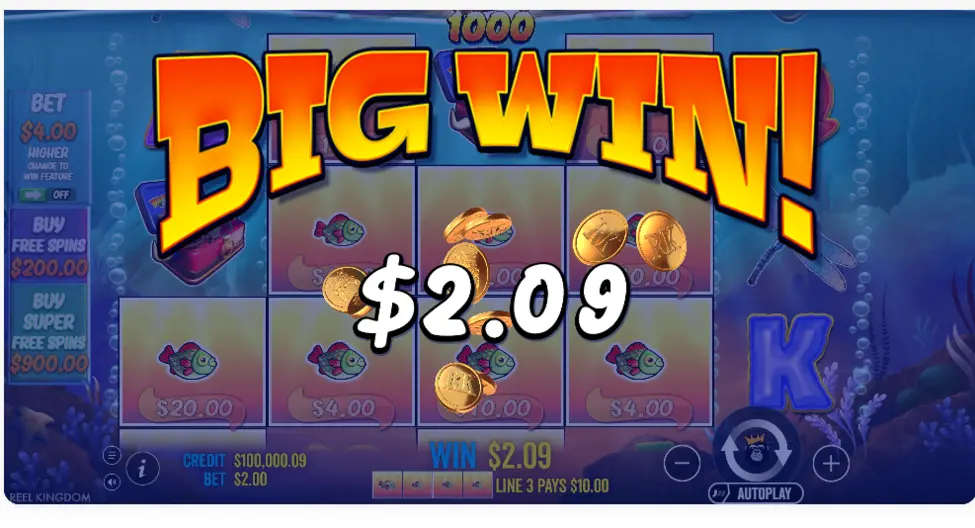 Big Bass Splash 1000 base game with a big win Big Bass Splash 1000 base game with a big win