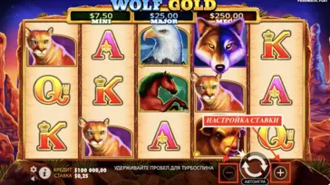 Panuse seadistamine slotis Wolf Gold